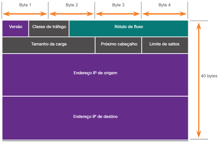 O cabeçalho do pacote IPv6.PNG